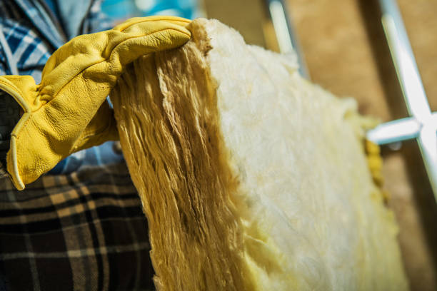 Best Types of Insulation in Woodlawn Beach, FL