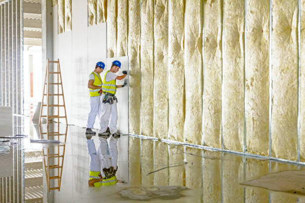 Best Insulation Installation Services in Woodlawn Beach, FL